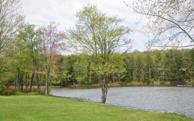 SKUBAN TREE SPECIALIST WILL BE CLEARING DEAD TREES AT JACKSON POND (6/6/25 to 6/11/25)