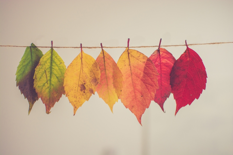 TOWN TALK NEWSLETTER – Fall 2021