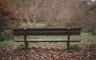 SENIORS GRIEF SUPPORT GROUP MAY START IN JANUARY DEPENDING ON INTEREST