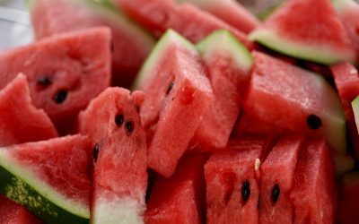 SENIORS SUMMER PICNIC:  7/22/25 at Jackson Park